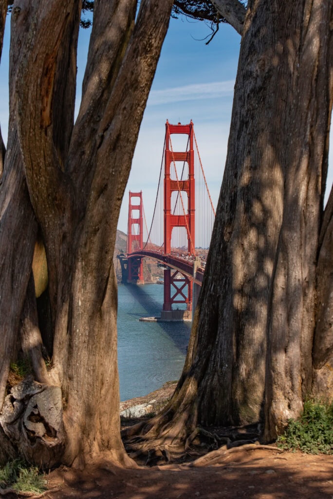 San Fran-7